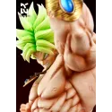 Dragon Ball Z Broly DLG Studio