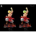 Dragon Ball Z Broly DLG Studio