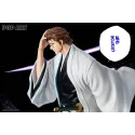 Bleach Aizen Sosuke POP.ART Studio