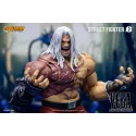 Street Fighter M. Bison & Rocinante Set Storm Toys