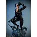 DC Comics Catwoman 3109 Studio
