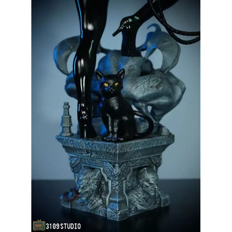 DC Comics Catwoman 3109 Studio
