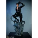 DC Comics Catwoman 3109 Studio