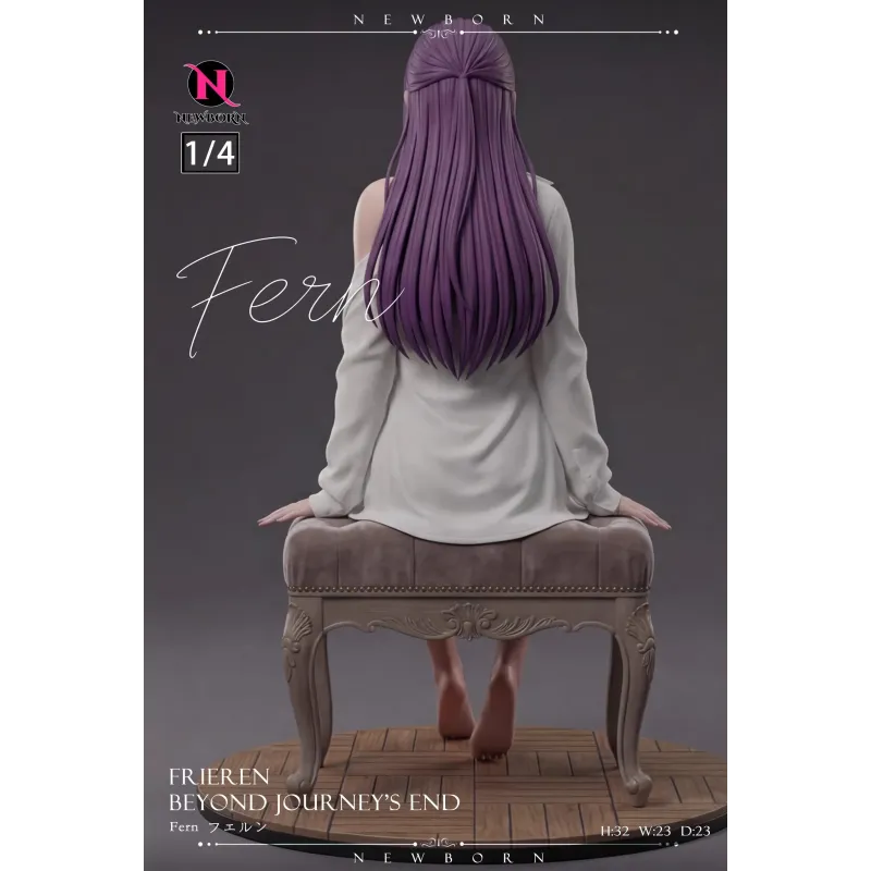 Frieren: Beyond Journey’s End Fern NewBorn Studio