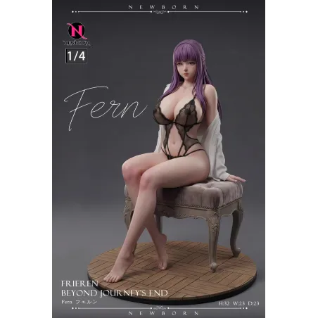 Frieren: Beyond Journey’s End Fern NewBorn Studio