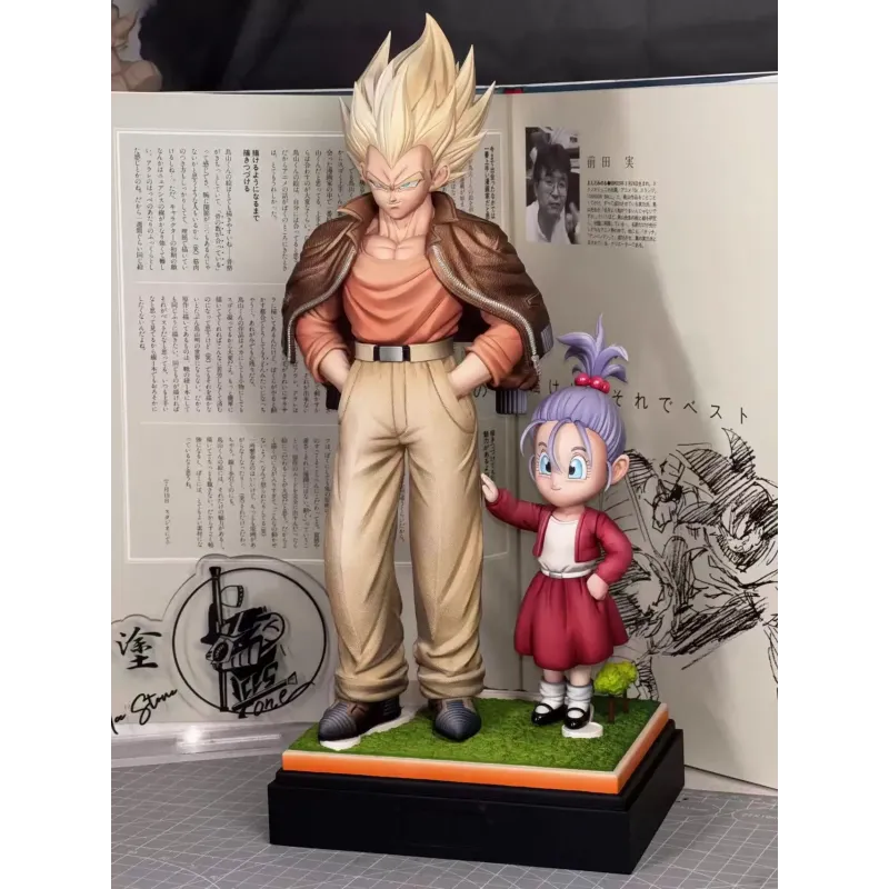 Dragon Ball Z Casual Wear Series Vegeta X Bra Wish Studio