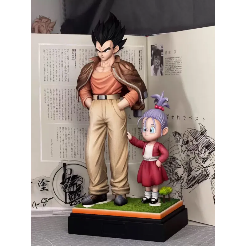 Dragon Ball Z Casual Wear Series Vegeta X Bra Wish Studio