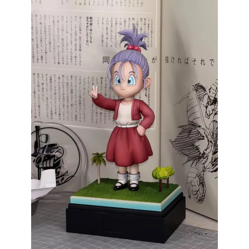 Dragon Ball Z Casual Wear Series Vegeta X Bra Wish Studio