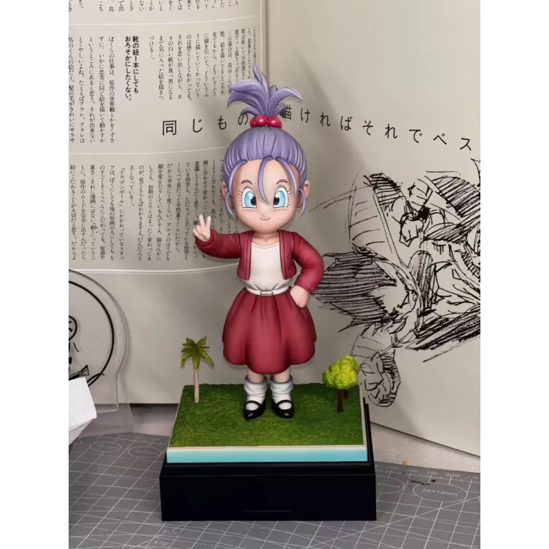 Dragon Ball Z Casual Wear Series Vegeta X Bra Wish Studio