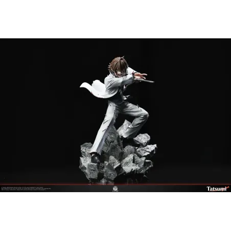 Akame Ga Kill Tatsumi Grey Matter Studio