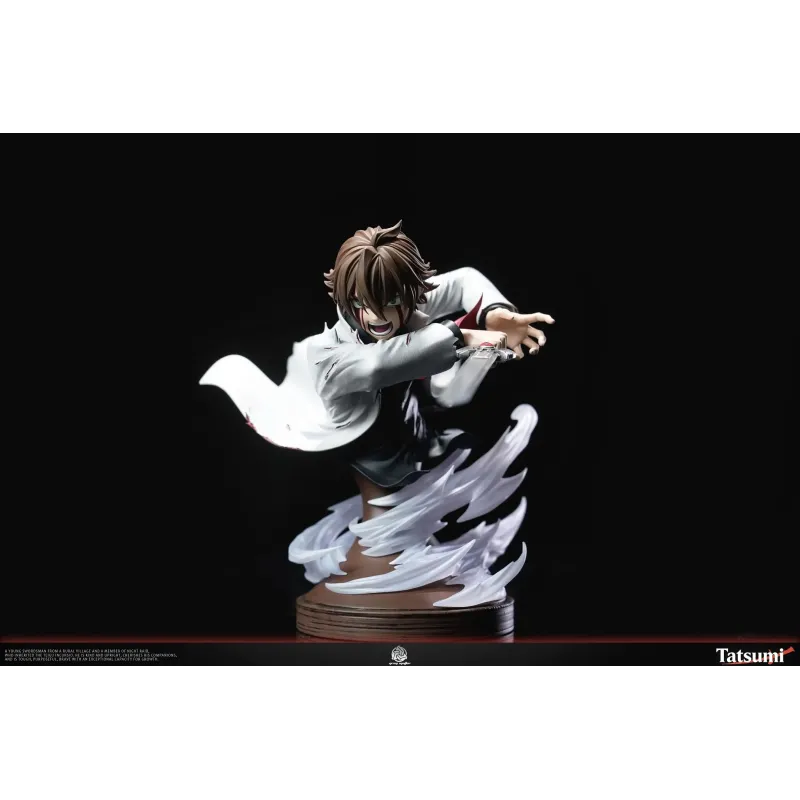 Akame Ga Kill Tatsumi Grey Matter Studio