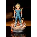 Dragon Ball Z Majin Vegeta Juann Studio