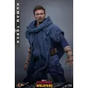 Marvel Human Torch Hot Toys