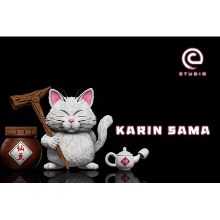 Dragon Ball Z Karin WCF C Studio