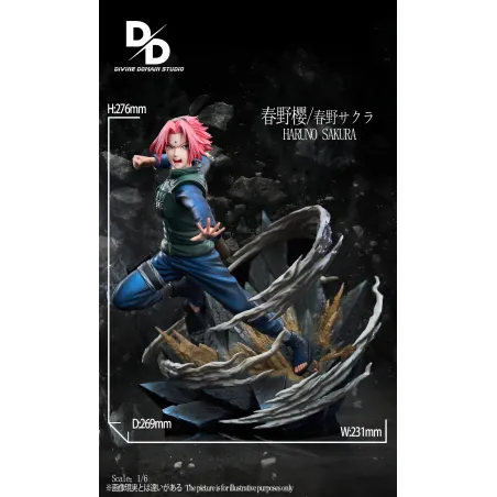 Naruto Shippuden Sakura Divine Domain Studio