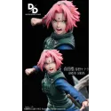 Naruto Shippuden Sakura Divine Domain Studio