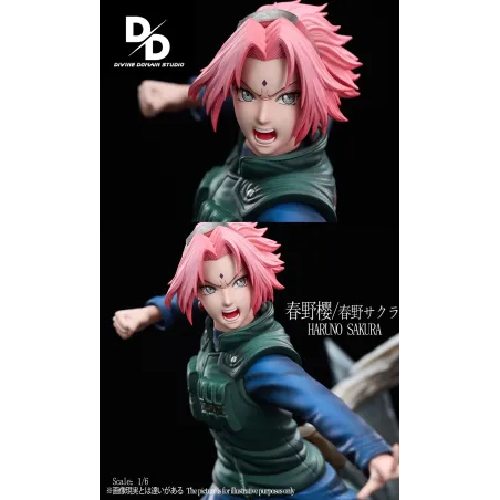 Naruto Shippuden Sakura Divine Domain Studio