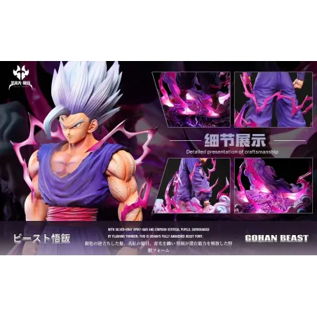 Dragon Ball Super Gohan Beast Zhigaotian Studio