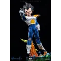 Dragon Ball Z Vegeta Namek EH Studio