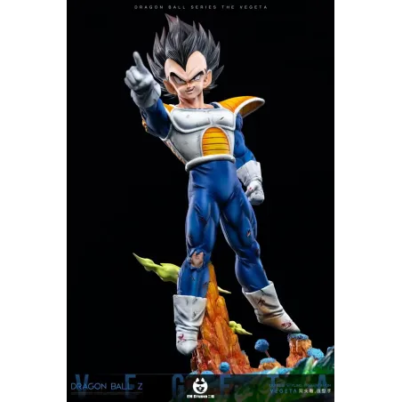 Dragon Ball Z Vegeta Namek EH Studio