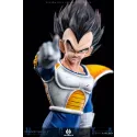 Dragon Ball Z Vegeta Namek EH Studio