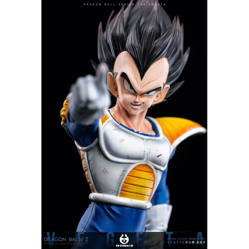 Dragon Ball Z Vegeta Namek EH Studio