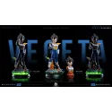 Dragon Ball Z Vegeta Namek EH Studio