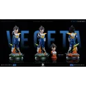 Dragon Ball Z Vegeta Namek EH Studio