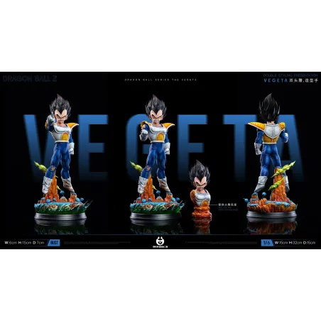 Dragon Ball Z Vegeta Namek EH Studio