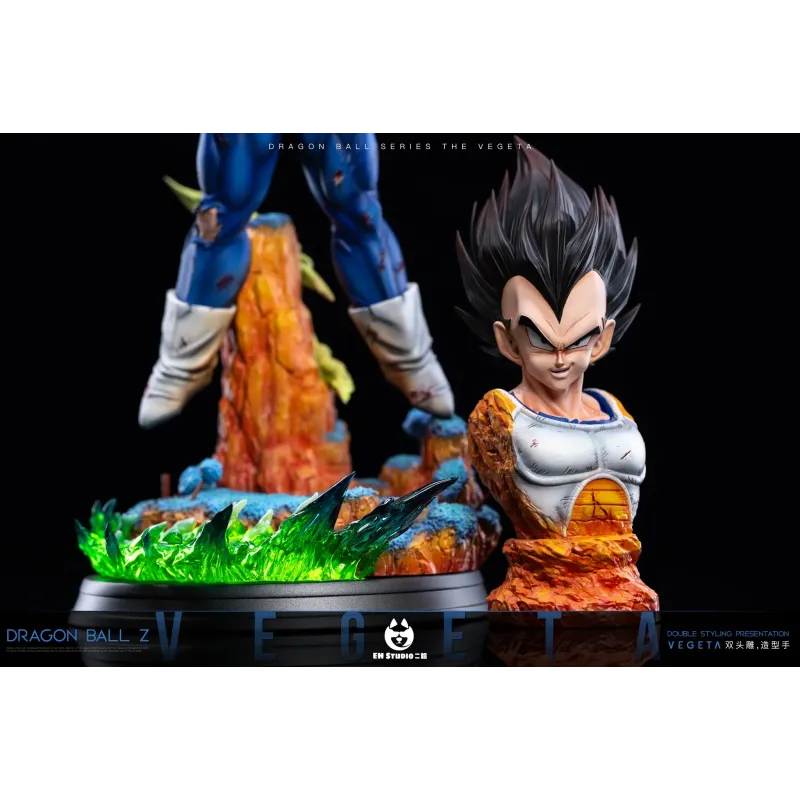 Dragon Ball Z Vegeta Namek EH Studio