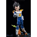 Dragon Ball Z Vegeta Namek EH Studio
