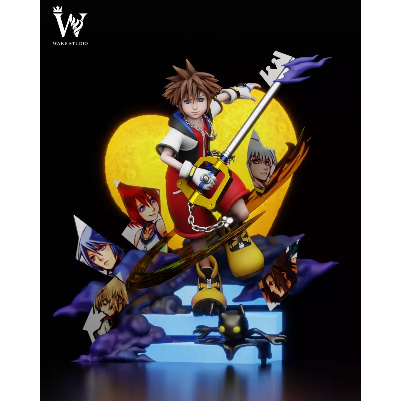 Kingdom Hearts Sora Wake Studio