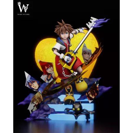 Kingdom Hearts Sora Wake Studio