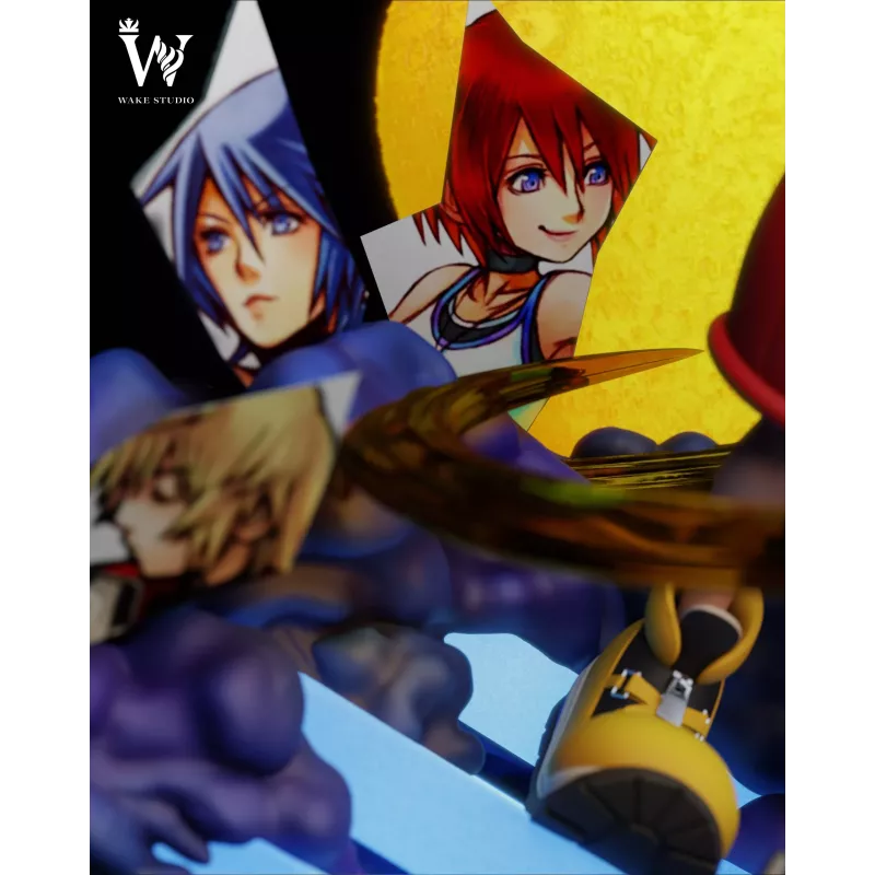 Kingdom Hearts Sora Wake Studio