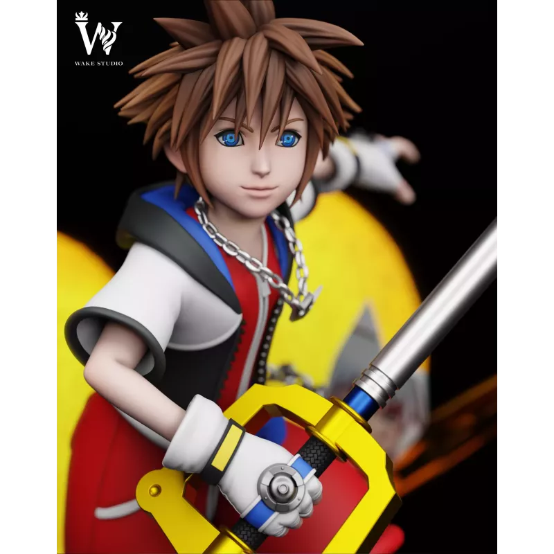 Kingdom Hearts Sora Wake Studio