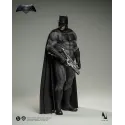 DC Batman vs Superman: Dawn of Justice Batman Inart