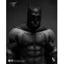 DC Batman vs Superman: Dawn of Justice Batman Inart