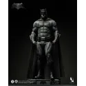 DC Batman vs Superman: Dawn of Justice Batman Inart