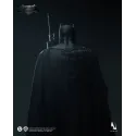 DC Batman vs Superman: Dawn of Justice Batman Inart