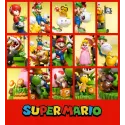 Super Mario Family V3 T Studio