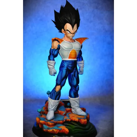 Dragon Ball Z Vegeta Namek Ji Studio