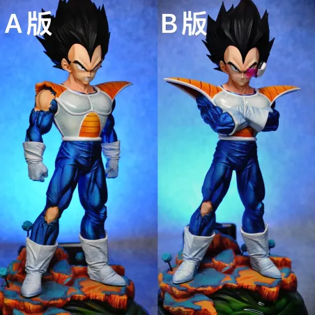 Dragon Ball Z Vegeta Namek Ji Studio