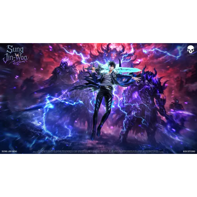 Solo Leveling Sung Jin Woo Koi Studio