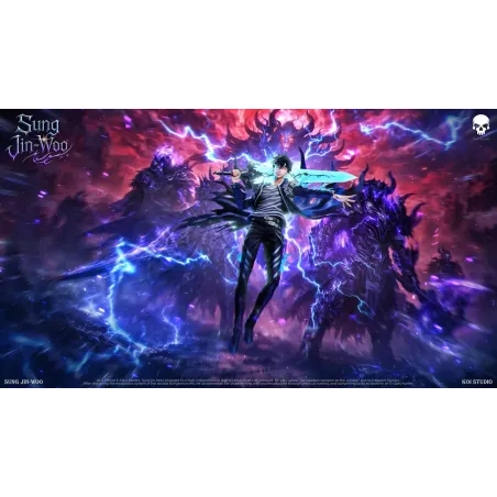Solo Leveling Sung Jin Woo Koi Studio