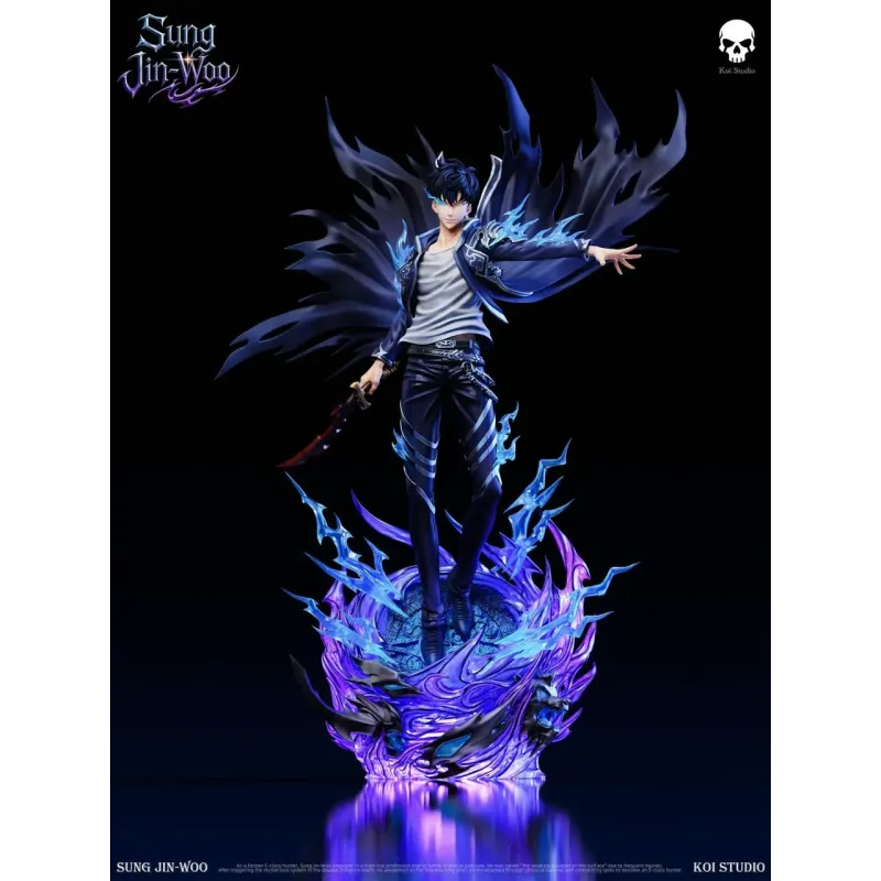 Solo Leveling Sung Jin Woo Koi Studio