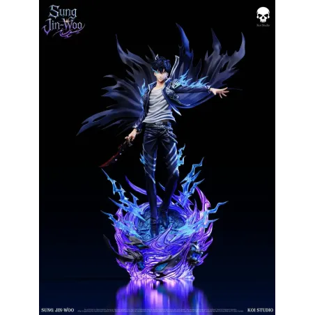 Solo Leveling Sung Jin Woo Koi Studio