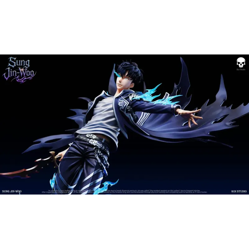 Solo Leveling Sung Jin Woo Koi Studio