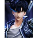 Solo Leveling Sung Jin Woo Koi Studio