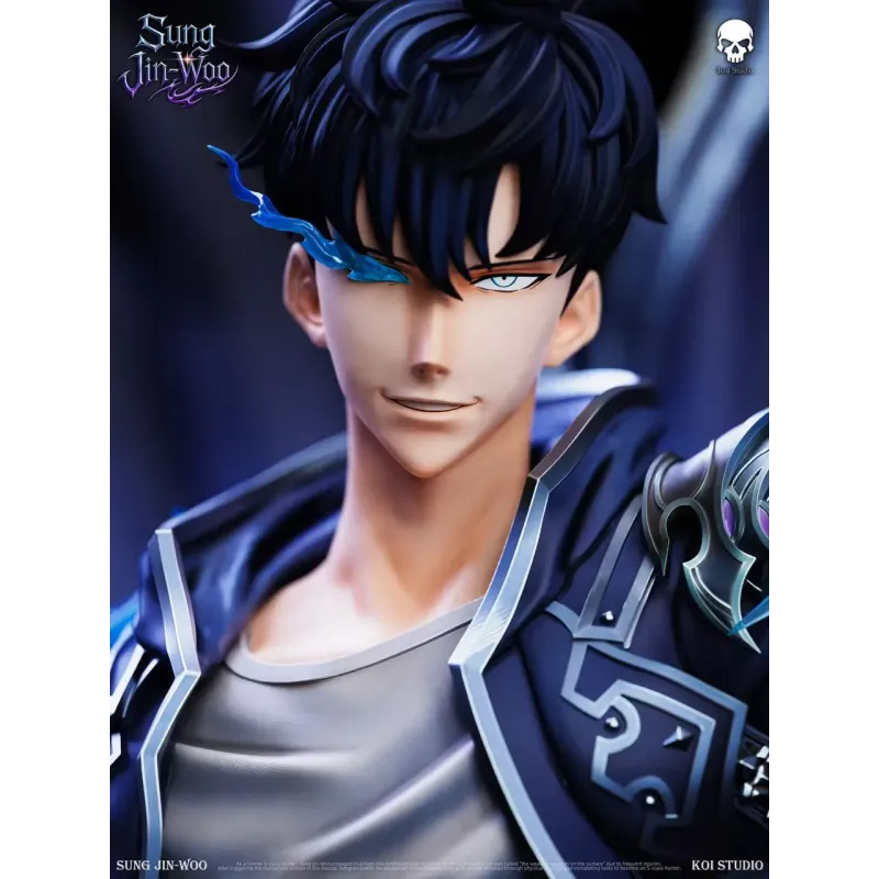 Solo Leveling Sung Jin Woo Koi Studio