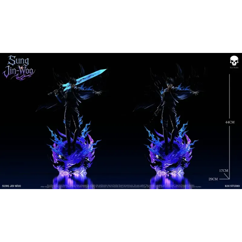 Solo Leveling Sung Jin Woo Koi Studio